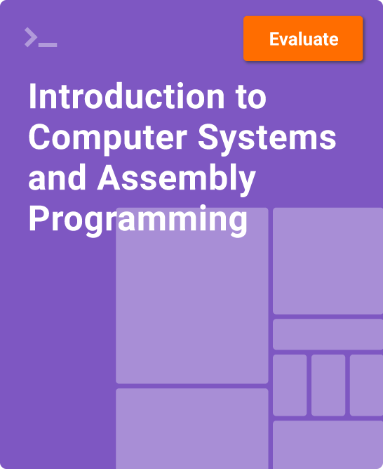 zyBook - Introduction to Computer Systems and Assembly Programming