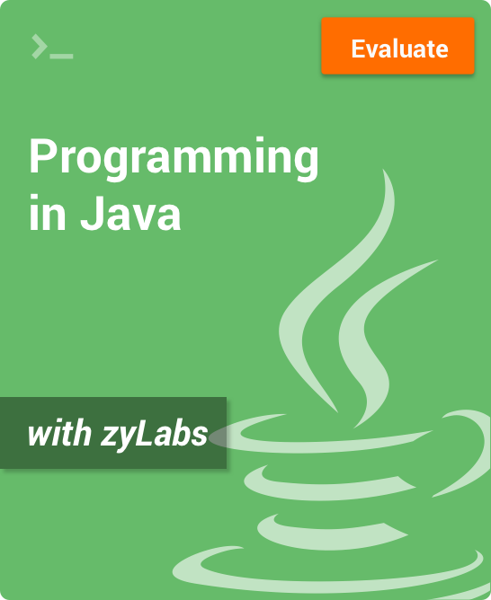 zyBook - Programming in Java Cover Art